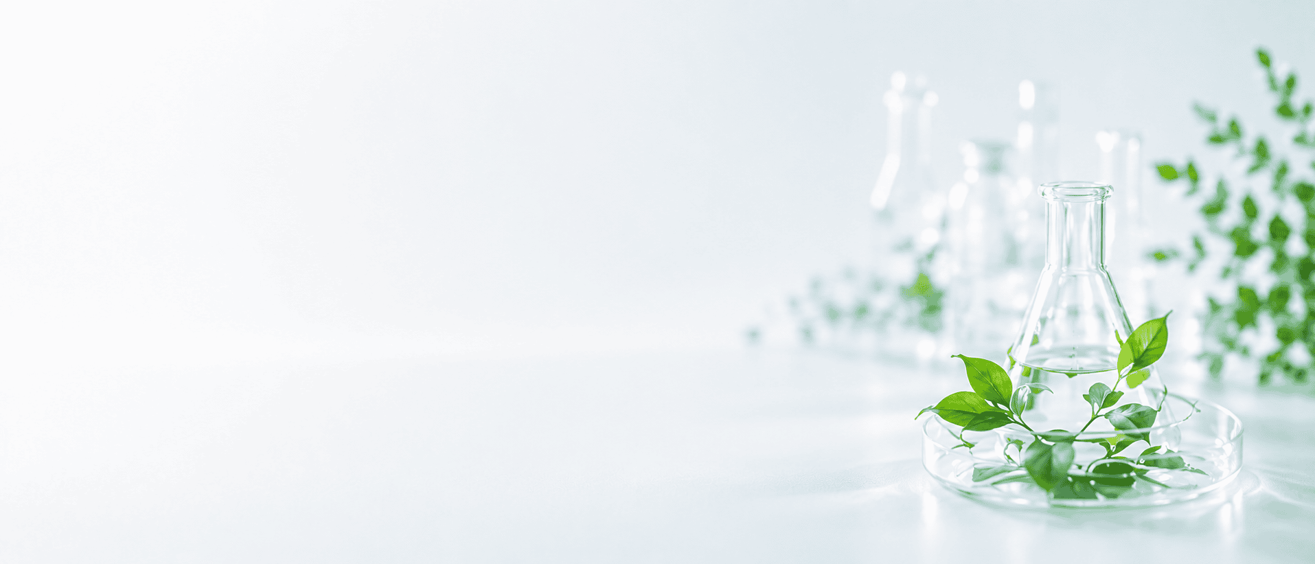 Solution Background